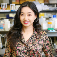 Tingting Yang, PhD