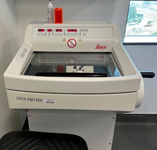 Leica CM1860 cryostat for OCT-embedded ocular tissues.