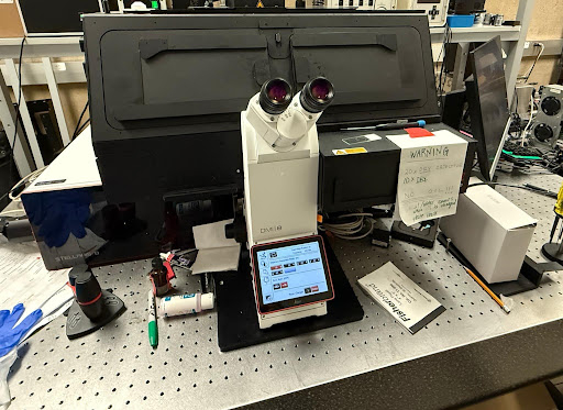 Leica STELLARIS confocal microscope system with enclosed imaging chamber.
