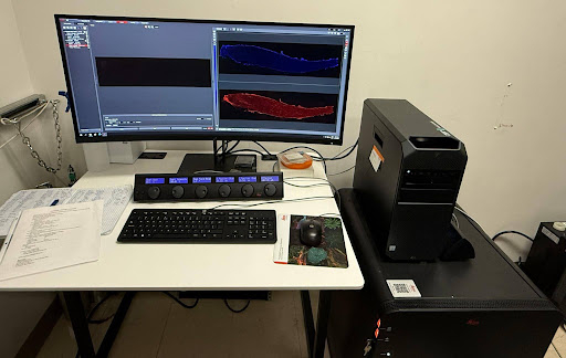 Dedicated Leica acquisition and image-analysis workstation.