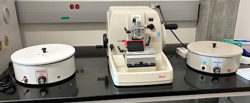 Leica rotary microtome and water-bath system for paraffin sectioning.