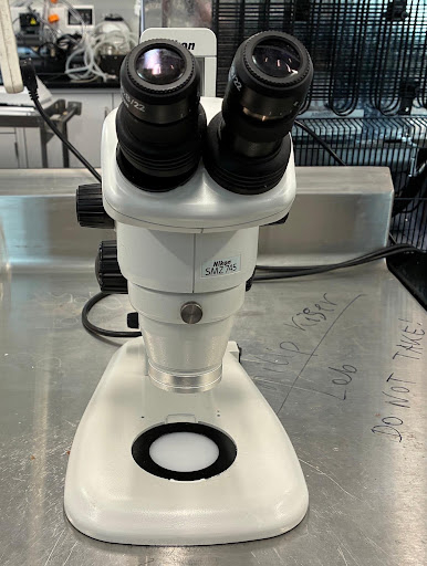 Nikon SMZ745 stereomicroscope for ocular dissection and orientation.